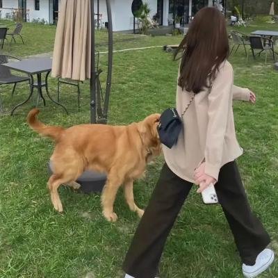 无主之人